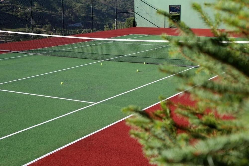 Quinta Da Timpeira Otel Lamego Dış mekan fotoğraf