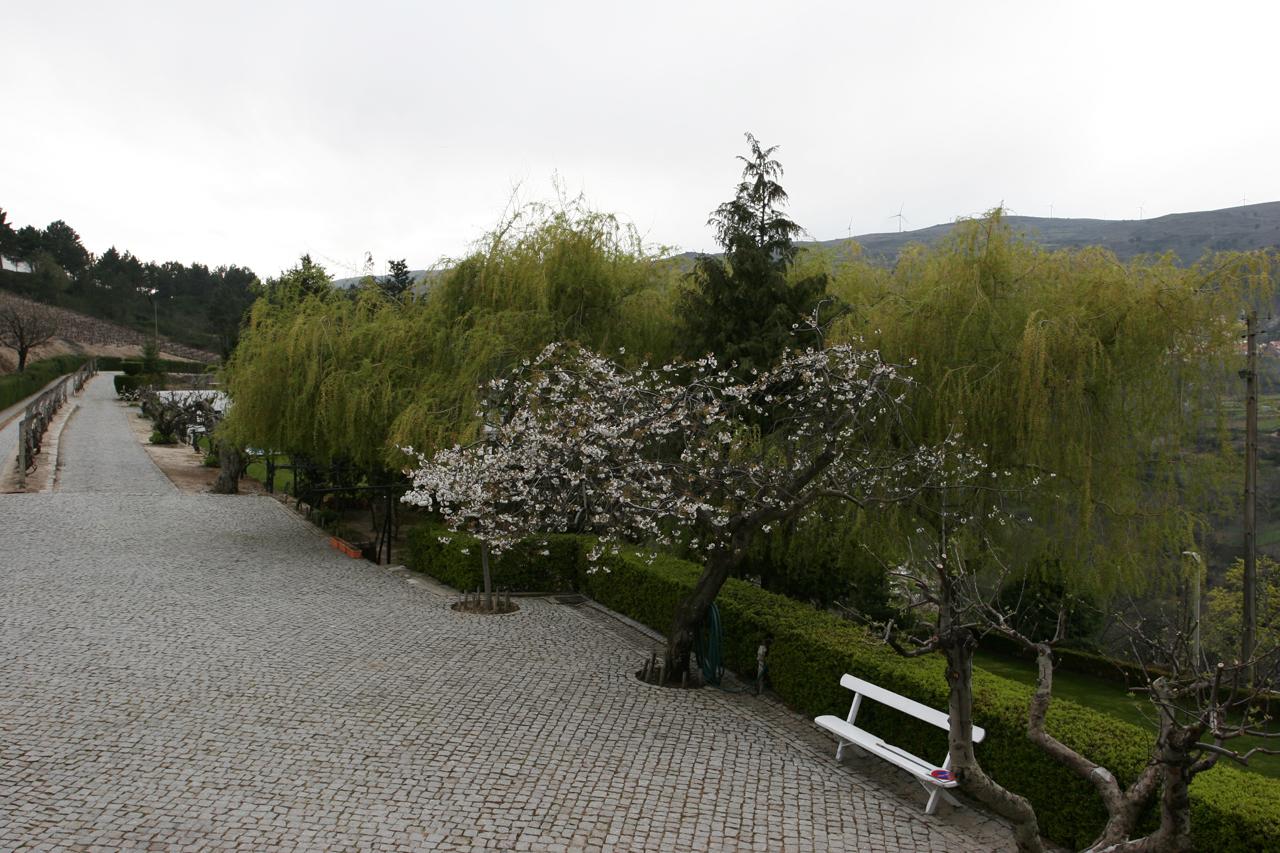 Quinta Da Timpeira Otel Lamego Dış mekan fotoğraf